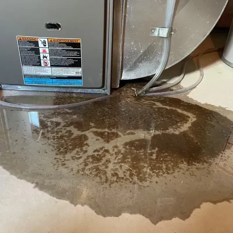 Appliance Leak Cleanup in Buenaventura Lakes, FL